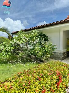 Caribbean Dreams Realty Cocotal Golf and Country Club Villa